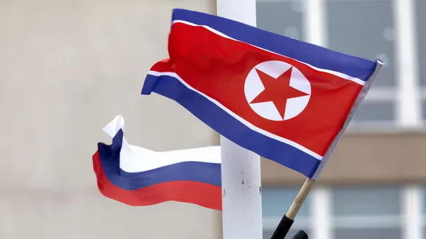 朝鲜国旗和俄罗斯国旗 - 俄罗斯卫星通讯社