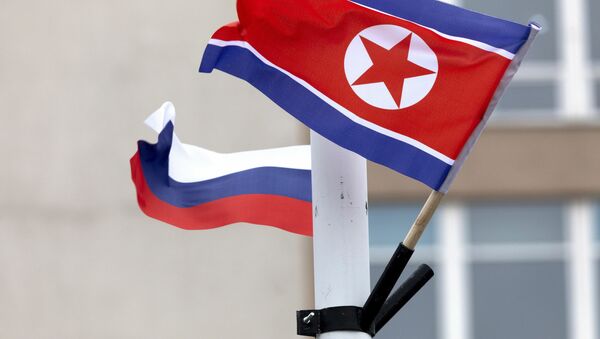 朝鮮最高人民會議代表團將於10月下旬對俄進行訪問 - 俄羅斯衛星通訊社