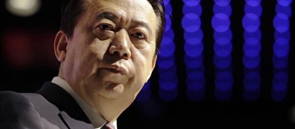 孟宏伟案件调查是对中国执法机关反腐的另一个打击 孟宏伟案件调查是对中国执法机关反腐的另一个打击 - 俄罗斯卫星通讯社