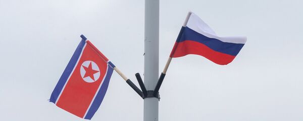 朝鲜代表团前往莫斯科出席“议会制发展”论坛 - 俄罗斯卫星通讯社