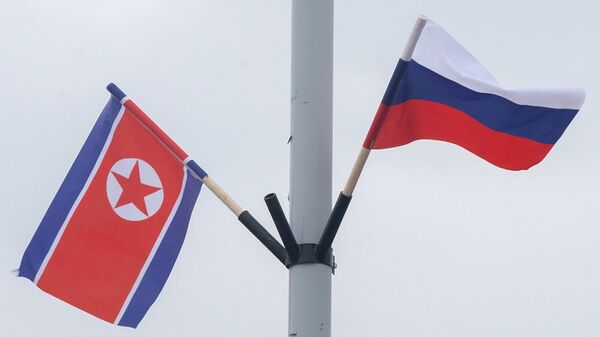 俄外交部：朝鲜代表团在莫斯科就加强俄朝双边合作问题进行讨论 - 俄罗斯卫星通讯社
