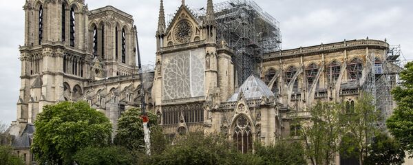 法国当局着手治理巴黎圣母院周边铅污染 - 俄罗斯卫星通讯社