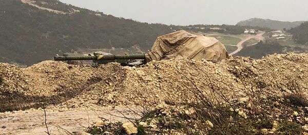 伊德利卜 - 俄罗斯卫星通讯社