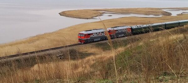 防彈和卡拉ok：俄羅斯外交官談朝鮮領導人專列 - 俄羅斯衛星通訊社