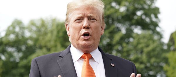 特朗普建议中国不要等选举 而是尽快达成贸易协议 - 俄罗斯卫星通讯社