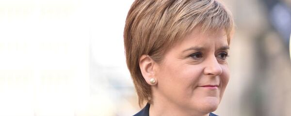 尼古拉·斯特金 - 俄罗斯卫星通讯社