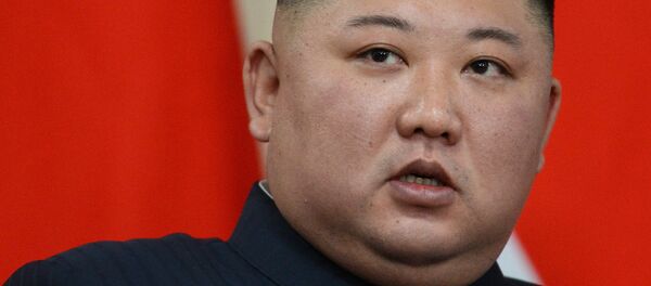 Президент РФ В. Путин встретился с лидером КНДР Ким Чен Ыном - 俄罗斯卫星通讯社