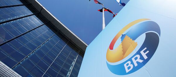 专家：普京访华彰显俄罗斯对“一带一路”倡议的支持 - 俄罗斯卫星通讯社