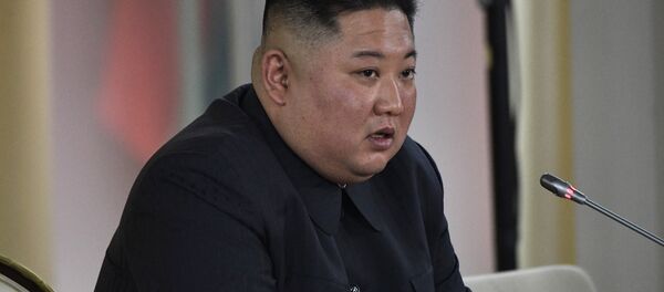 Лидер КНДР Ким Чен Ын во время российско-корейских переговоров в широком составе  - 俄羅斯衛星通訊社