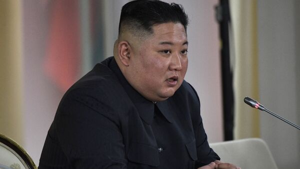 美国家安全事务助理：日朝元首会晤将有助于朝鲜核与导弹问题的解决 - 俄罗斯卫星通讯社