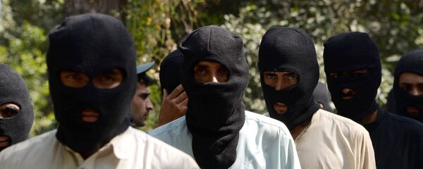 塔利班 - 俄罗斯卫星通讯社