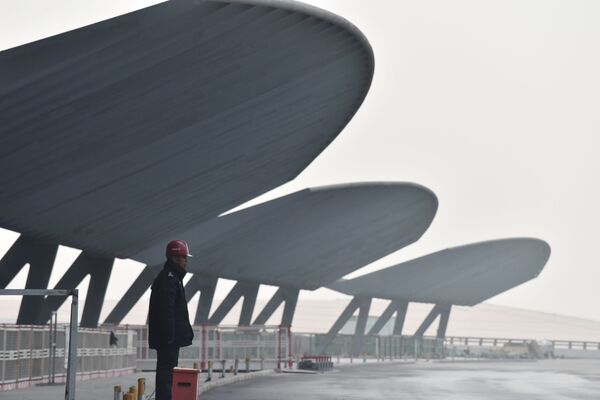 在建的北京大兴国际机场的工人们 - 俄罗斯卫星通讯社