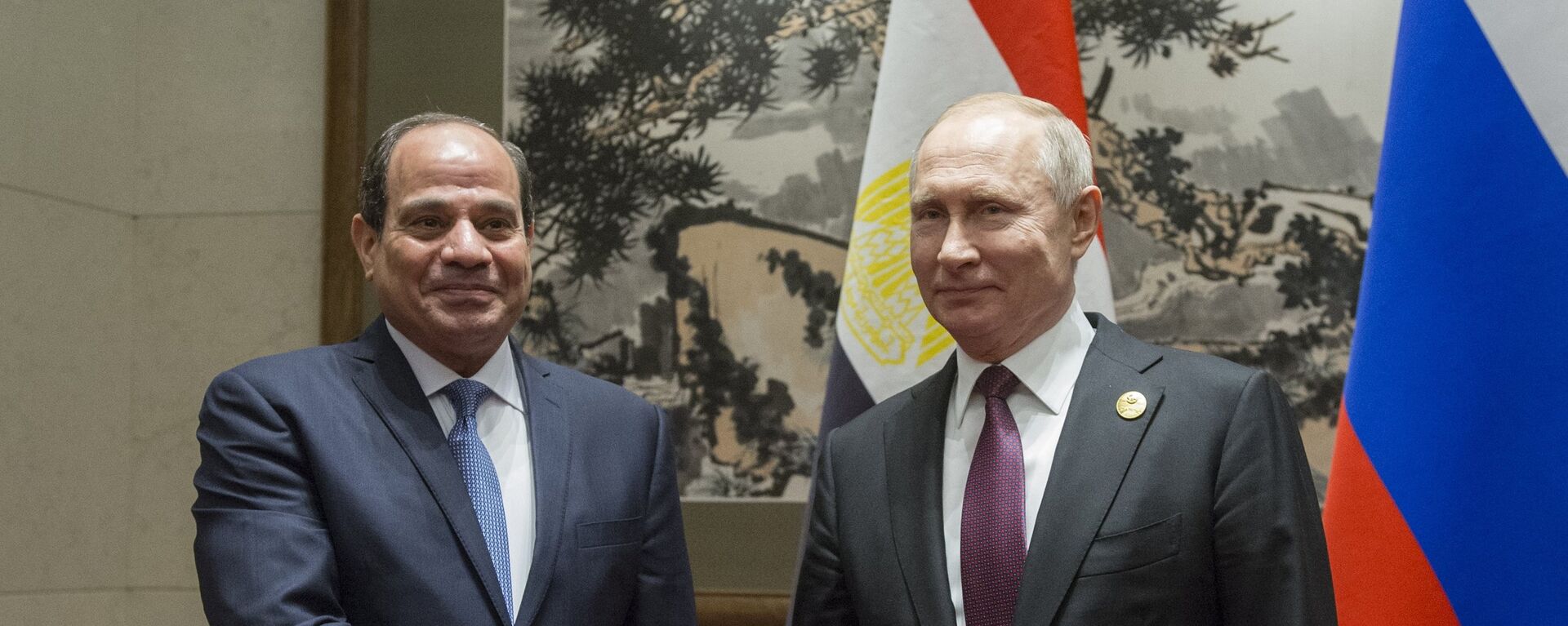 埃及总统塞西与俄罗斯总统普京 - 俄罗斯卫星通讯社, 1920, 22.03.2024