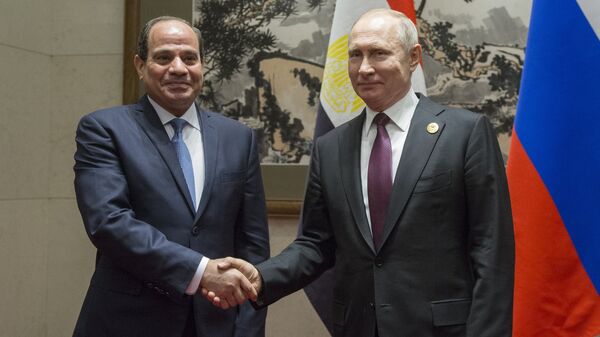 普京会见埃及总统时谈到将两国关系提升到新水平的计划 - 俄罗斯卫星通讯社