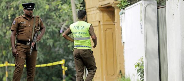 斯里蘭卡 - 俄羅斯衛星通訊社