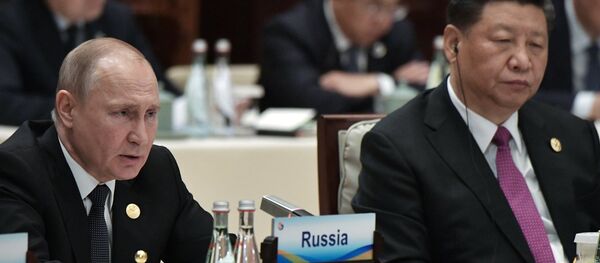 普京希望欧亚大陆能建立达成共识的电子商务规则 - 俄罗斯卫星通讯社