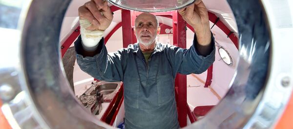 法国人让 - 雅克·萨万 - 俄罗斯卫星通讯社