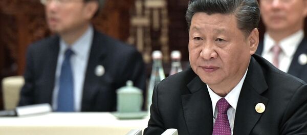 Председатель Китайской народной республики (КНР) Си Цзиньпин на первом заседании круглого стола - 俄罗斯卫星通讯社