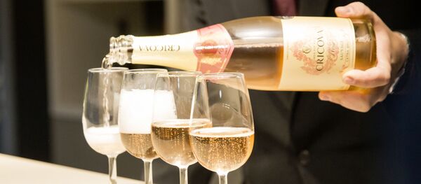 Сомелье разливает вино в дегустационном зале - 俄罗斯卫星通讯社