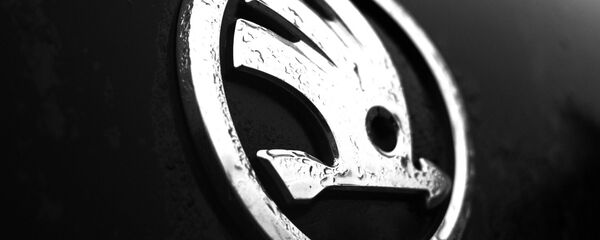 Логотип Skoda - 俄罗斯卫星通讯社