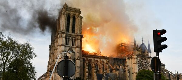 巴黎政府建議居民進行血鉛檢查 與巴黎聖母院火災有關 巴黎政府建議居民進行血鉛檢查 與巴黎聖母院火災有關 - 俄羅斯衛星通訊社