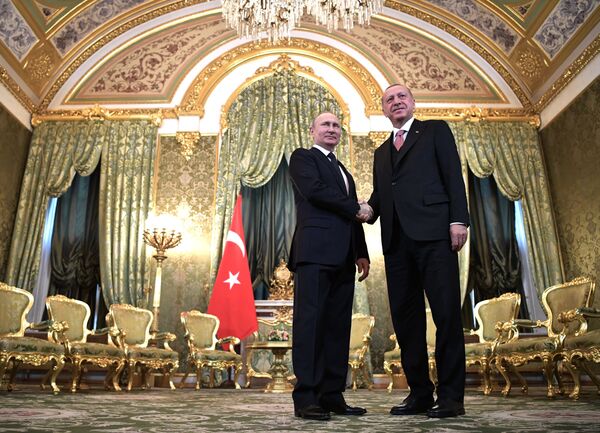 俄罗斯总统弗拉基米尔·普京与土耳其总统雷杰普·塔伊普·埃尔多安举行会晤。 - 俄罗斯卫星通讯社
