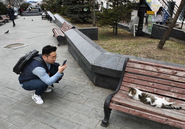 符拉迪沃斯托克福金海軍上將街上一名遊客在拍一隻貓。 - 俄羅斯衛星通訊社