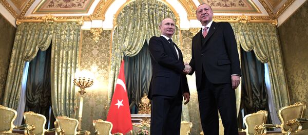 克宫：俄土总统会谈将于8月27日在莫斯科举行 - 俄罗斯卫星通讯社