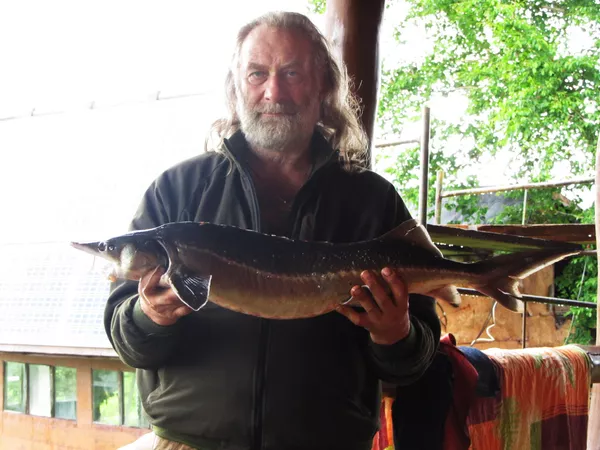 謝爾蓋·帕夫洛夫斯基展示獵場旁湖泊中釣出的鱘魚 謝爾蓋·帕夫洛夫斯基展示獵場旁湖泊中釣出的鱘魚 - 俄羅斯衛星通訊社