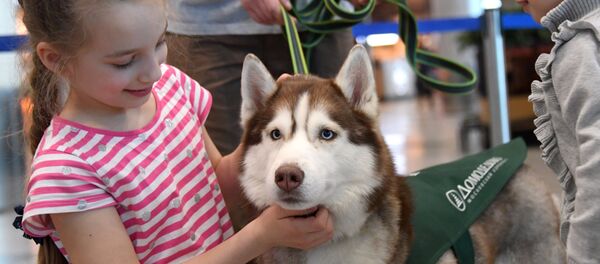 姑娘抱着狗狗 - 俄罗斯卫星通讯社