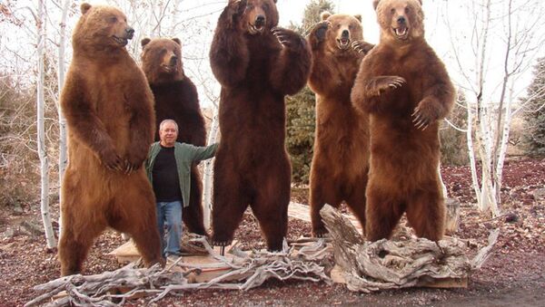 美國獵人在勘察加的獵熊標本 - 俄羅斯衛星通訊社