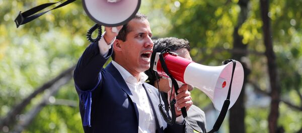 瓜伊多承认在委内瑞拉的政变企图失败并打算赞同美国干涉的方案 - 俄罗斯卫星通讯社