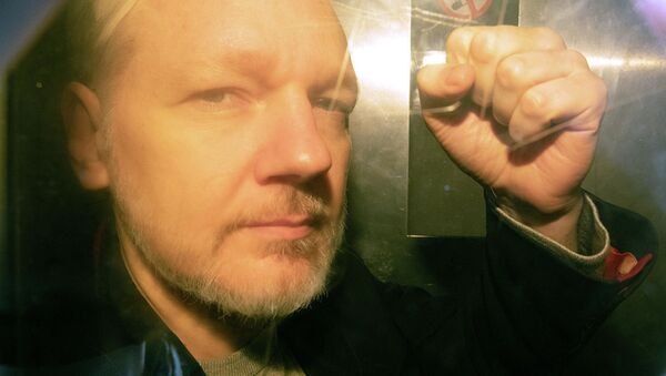 Основатель WikiLeaks Джулиан Ассанж в лондонском суде. 1 мая 2019 - 俄罗斯卫星通讯社