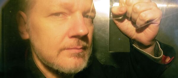 厄瓜多尔前外交部长：阿桑奇将在美国监狱中度过余生 - 俄罗斯卫星通讯社