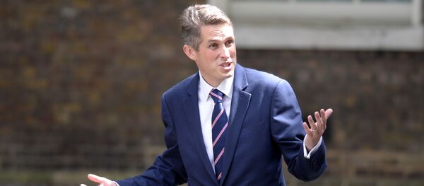 媒体得知英国防大臣被解职原因 - 俄罗斯卫星通讯社