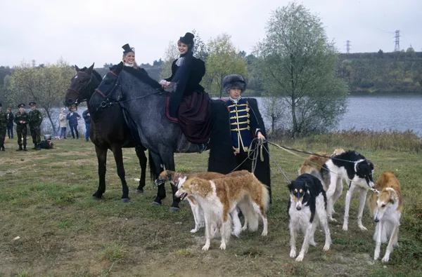 19世紀俄羅斯獵犬狩獵參與者 19世紀俄羅斯獵犬狩獵參與者 - 俄羅斯衛星通訊社