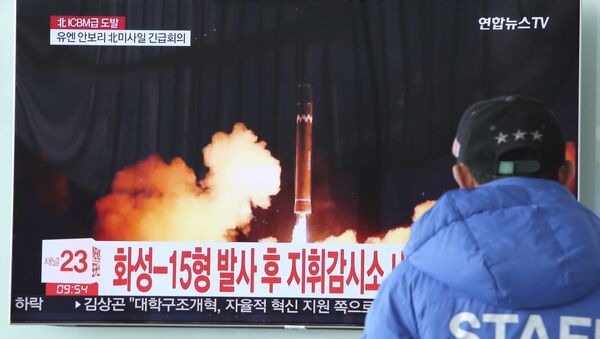 专家报告：朝鲜继续境外活动发展导弹计划 - 俄罗斯卫星通讯社