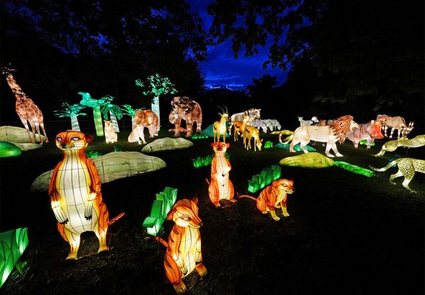 康德島共展出25件彩燈作品，包括神話人物和動植物 - 俄羅斯衛星通訊社