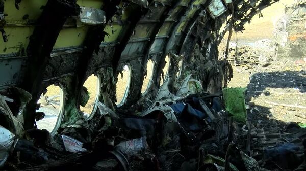 巴西亞馬孫州發生一起輕型飛機事故，機上12人全部遇難 - 俄羅斯衛星通訊社