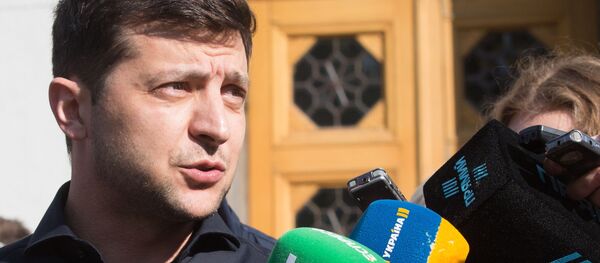 泽连斯基 - 俄罗斯卫星通讯社