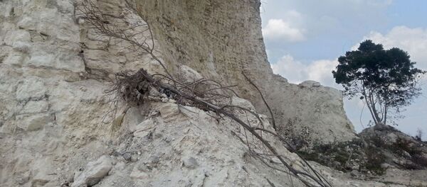 諾莫金字塔（Nohmul pyramid，大山之意），伯利茲 - 俄羅斯衛星通訊社