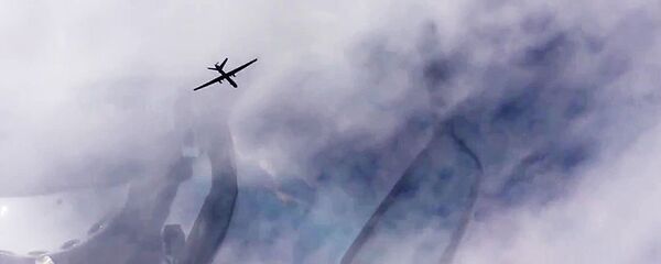 俄專家質疑波蘭MQ-9無人機飛行的有效性 - 俄羅斯衛星通訊社