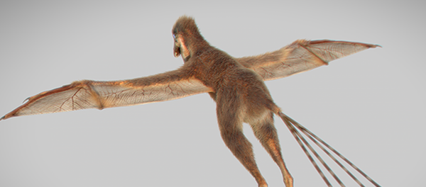 Динозавр с крыльями Динозавр с крыльями - 俄罗斯卫星通讯社