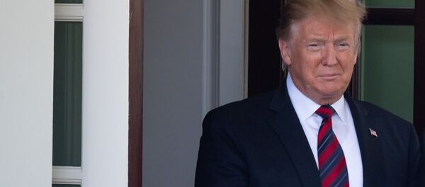 特朗普 - 俄罗斯卫星通讯社