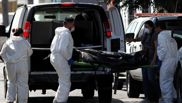 墨西哥秘密坟场中发现35具尸体 - 俄罗斯卫星通讯社