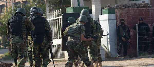 印巴两国能否联合起来打击亚洲恐怖主义？ - 俄罗斯卫星通讯社