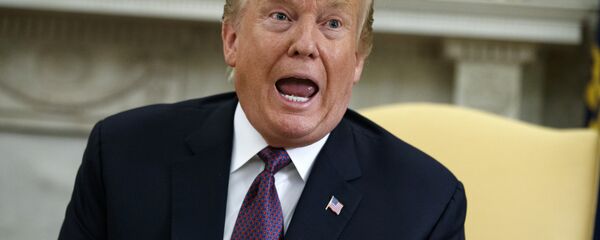 特朗普 - 俄罗斯卫星通讯社