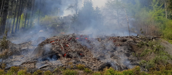 火灾 - 俄罗斯卫星通讯社