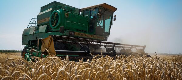Уборка пшеницы в Краснодарском крае - 俄罗斯卫星通讯社