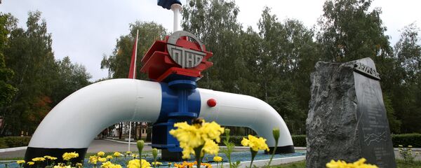 Нефтеперерабатывающий завод и нефтепровод Дружба - 俄罗斯卫星通讯社